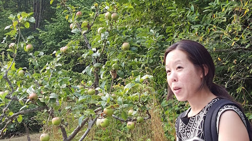 Shin Yu Pai, reading at her *HEIRLOOM* exhibit in Carkeek Park earlier this year.